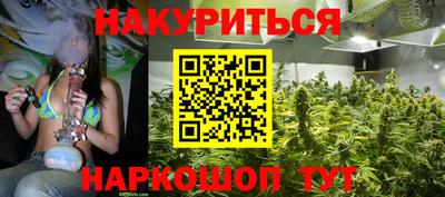 гашик Будённовск
